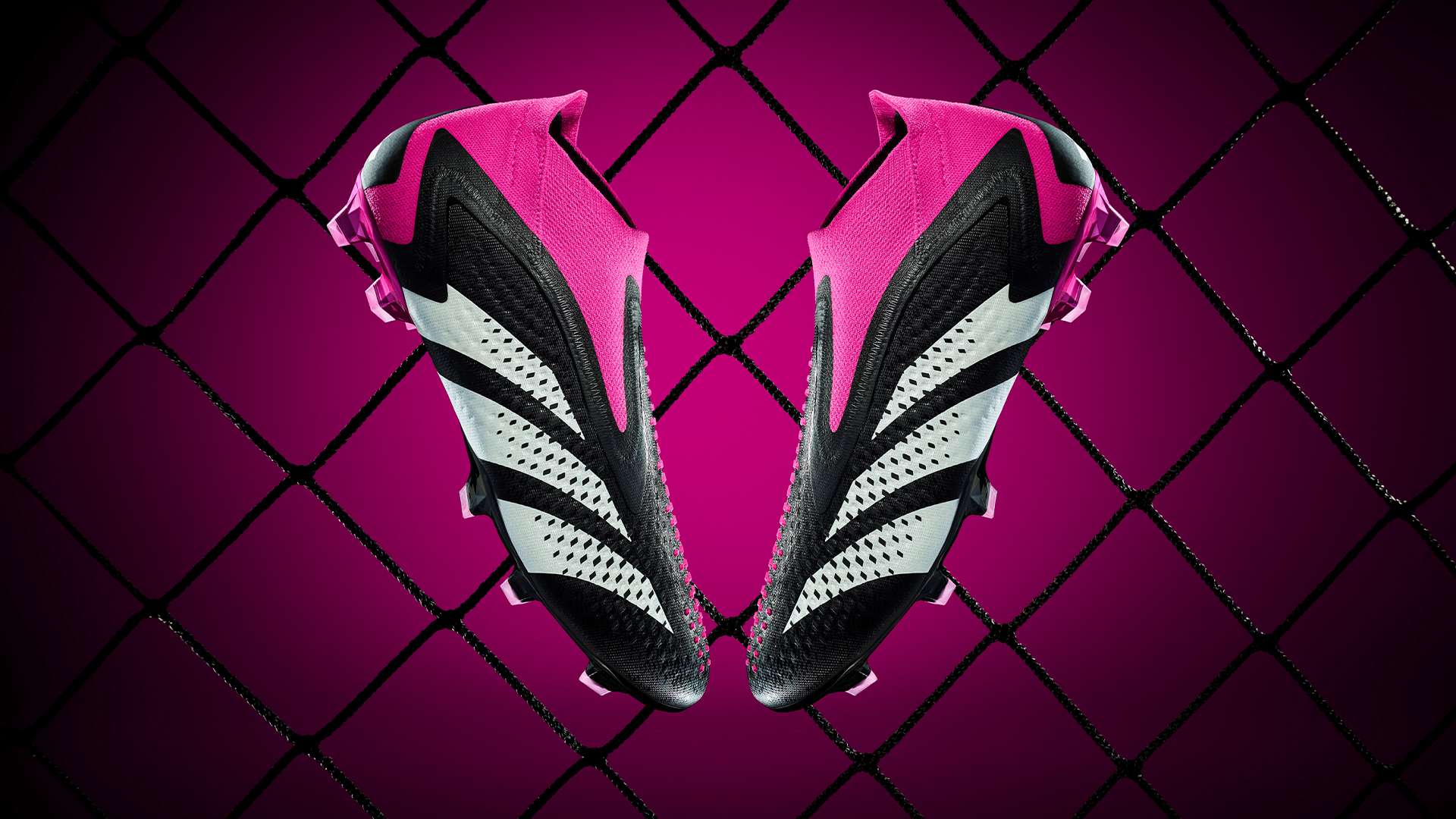 球迷们的期 球迷们的期